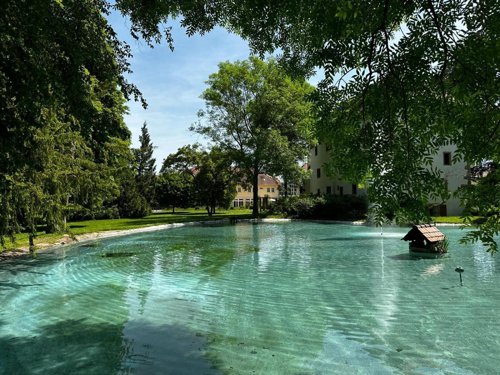 Schloss Neckarbischofsheim Esterno foto